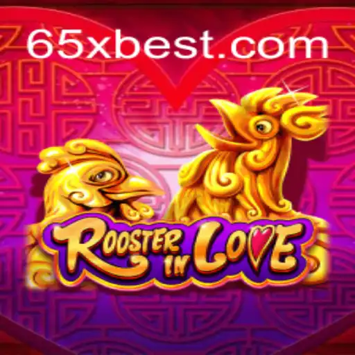 Explorando RoosterInLove: Mergulho no Mundo de 65x.com